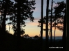 picoduarte - 38